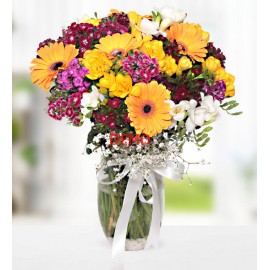 Samsung SyncMaster 941BW