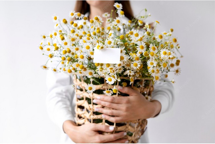 Demo Blog Başlığı